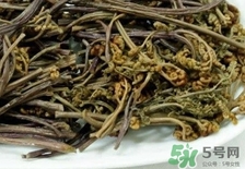 龍頭菜的營(yíng)養(yǎng)價(jià)值_龍頭菜的功效與作用及食用方法