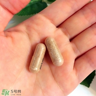 澳洲unichi玫瑰果精華膠囊多少錢(qián)_專柜價(jià)格