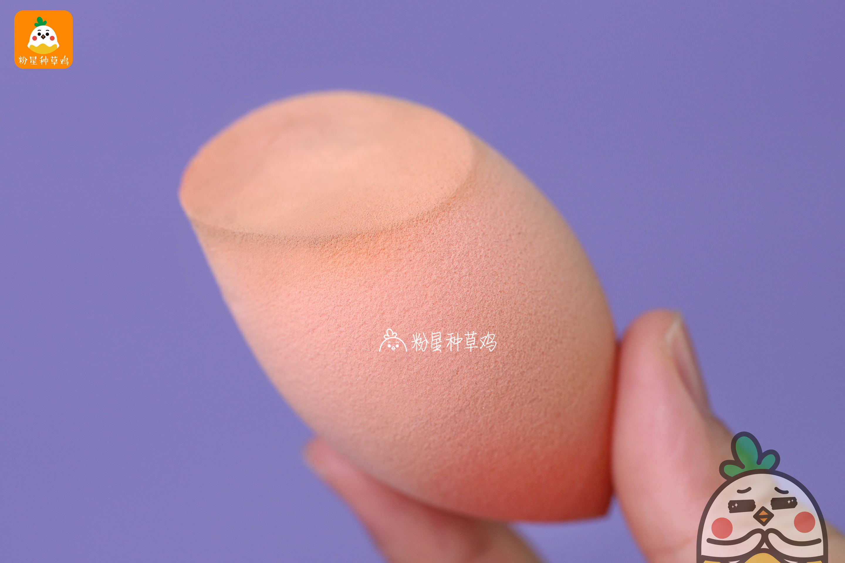 beauty blender美妝蛋和rt美妝蛋哪個(gè)好？