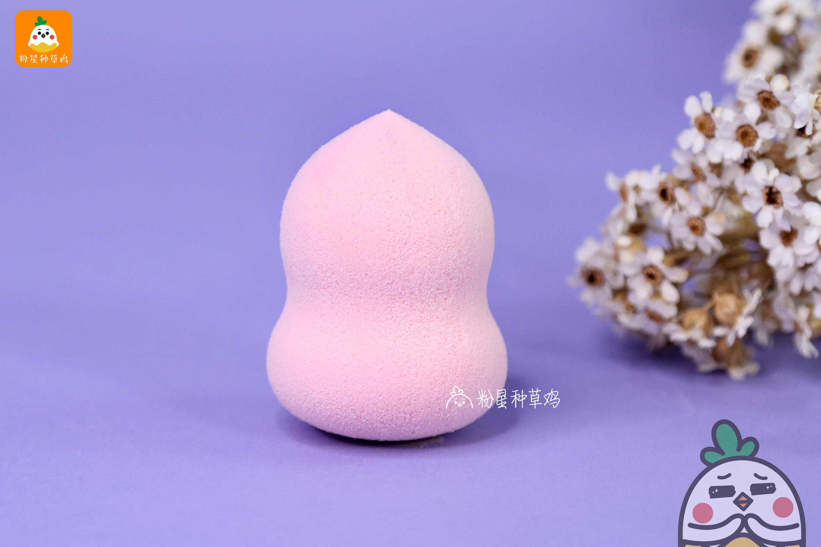 beauty blender美妝蛋和rt美妝蛋哪個(gè)好？