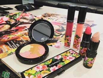 mac2017夏季fruity juicy系列有哪些？