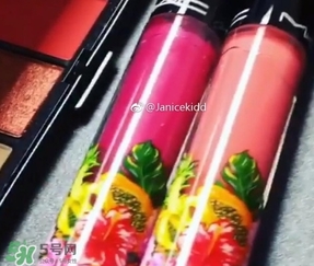 mac2017夏季fruity juicy系列有哪些？