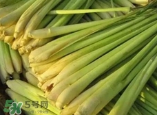 檸檬草的營(yíng)養(yǎng)價(jià)值_檸檬草的功效與作用及食用方法