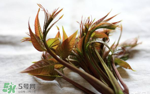 香椿怎么洗？香椿芽怎么洗干凈？