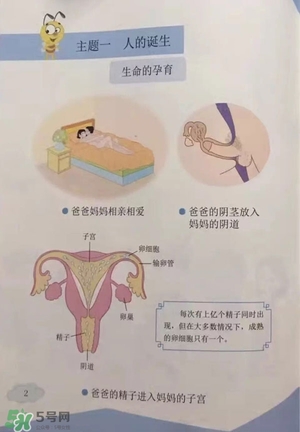 孩子瀏覽成人網(wǎng)站怎么辦？小學(xué)性教育有沒有必要？