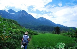 四月份去哪里旅游比較好？四月份最適合旅游的地方