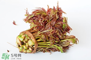 香椿樹什么時候發(fā)芽？香椿樹什么時候種植