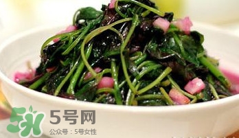 莧菜怎么吃？莧菜怎么炒