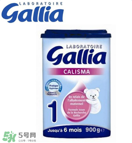 gallia佳利雅奶粉怎么沖？gallia佳利雅奶粉沖調(diào)方法？