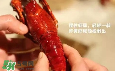 蝦子怎么吃？蝦子的吃法