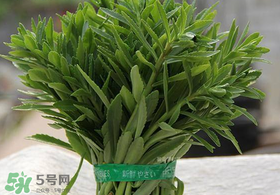 救心菜有毒嗎？救心菜怎么吃沒毒？