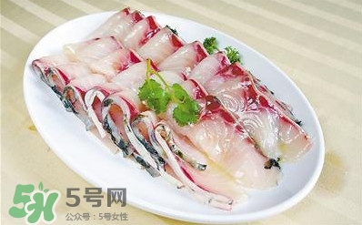 生魚是什么魚？生魚片是什么魚