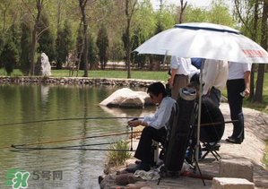 立夏好釣魚嗎？立夏怎么釣魚？