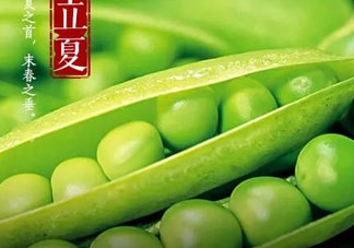 立夏吃什么好？立夏吃什么蔬菜？