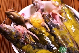 嘎魚是鯰魚嗎？嘎魚是黃辣丁嗎