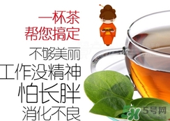 脂流茶成分 脂流茶可以減肥嗎？