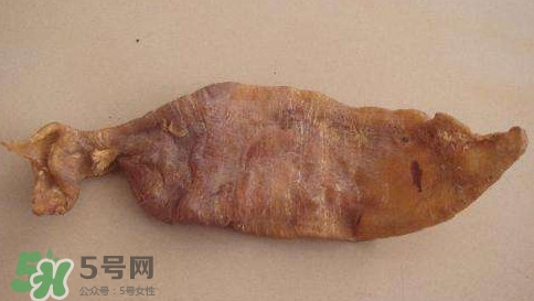 黃唇魚魚鰾是什么？魚鰾是魚的哪個部位