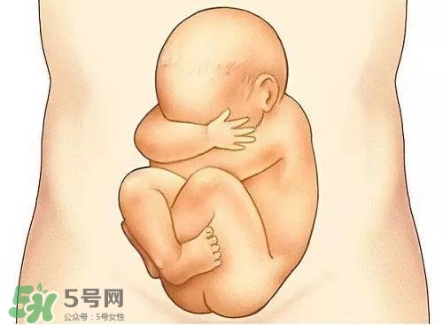 胎兒在媽媽肚子里都會干啥？胎兒的神奇世界