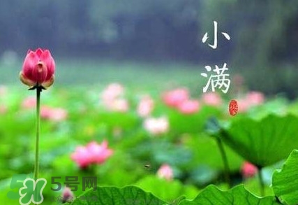 2017小滿是幾月幾日？小滿節(jié)氣養(yǎng)生