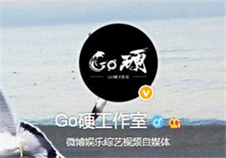 go硬工作室和卓偉有什么關(guān)系？go硬工作室是卓偉前員工成立的？