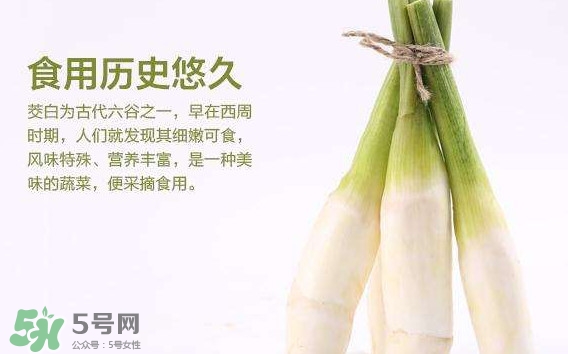 茭白是發(fā)物嗎？茭白是不是發(fā)物