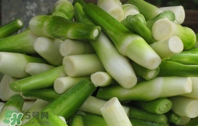 茭白是什么菜？茭白是什么植物