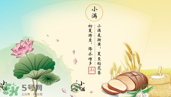 節(jié)氣小滿大滿是什么意思？24節(jié)氣為什么沒有大滿