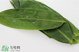 新鮮粽葉怎么處理？新鮮粽子葉怎樣處理？