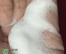 百雀羚三生花洗面奶多少錢？百雀羚三生花洗面奶價格