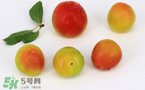 雙華李有什么營養(yǎng)？雙華李的營養(yǎng)價值