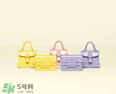 delvaux2017春夏系列包包款式有哪些_好看嗎？