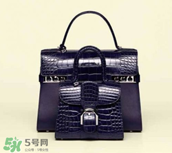 delvaux2017春夏系列包包款式有哪些_好看嗎？