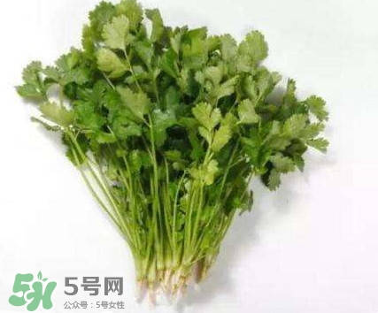 香菜洗腎有科學(xué)依據(jù)么？香菜能洗腎是真的嗎？