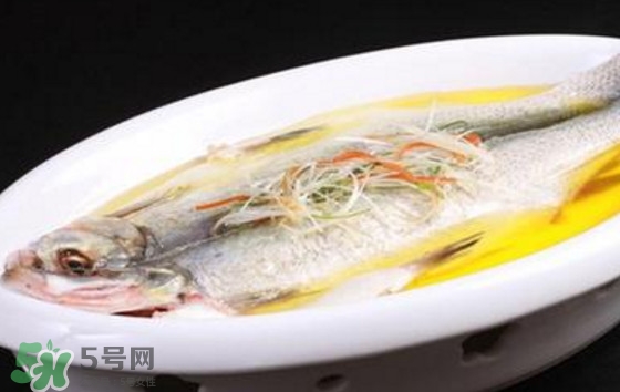 孕婦可以吃白條魚嗎？白條魚孕婦能吃嗎？