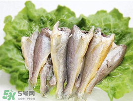 小黃魚可以養(yǎng)殖嗎？小黃魚能人工養(yǎng)殖嗎？