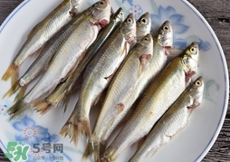 孕婦可以吃白條魚嗎？白條魚孕婦能吃嗎？