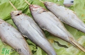 馬口魚(yú)怎么釣？馬口魚(yú)什么時(shí)候釣最好