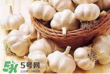 新蒜頭怎么保存不發(fā)芽？新蒜頭怎么存放