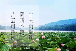 夏至是入伏嗎？夏至后多久入伏？