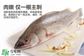 鱸魚是海鮮嗎？鱸魚是不是海鮮？