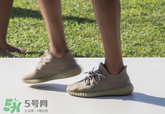 adidas yeezy 350 boost v2 dark green椰子350大地綠多少錢？