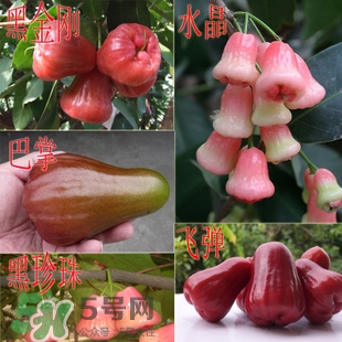 蓮霧什么季節(jié)吃最好？什么品種的蓮霧最好吃