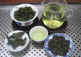 杜仲茶哪些人不適宜喝？杜仲茶飲用注意事項(xiàng)