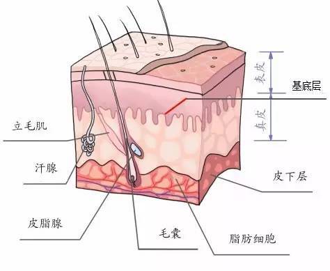 面膜的正確用法 面膜怎么用效果最好