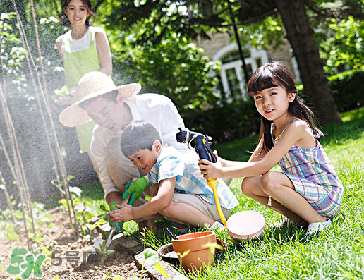 八月份可以種什么菜？八月份適合種植的蔬菜