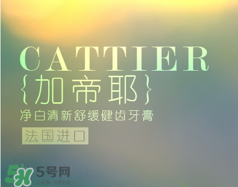 cattier加帝耶是什么牌子？法國cattier什么檔次？