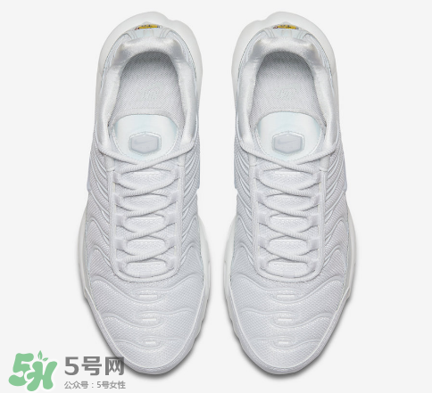 nike air max plus ice blue多少錢？耐克氣墊plus冰藍(lán)配色價(jià)格