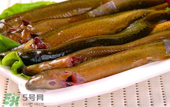 鰻魚是泥鰍嗎？鰻魚與泥鰍什么區(qū)別