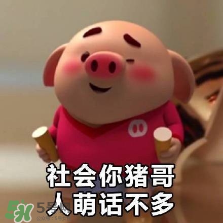 豬小屁表情包是什么？豬小屁表情包為什么這么火？