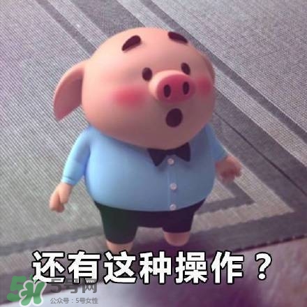 豬小屁表情包是什么？豬小屁表情包為什么這么火？